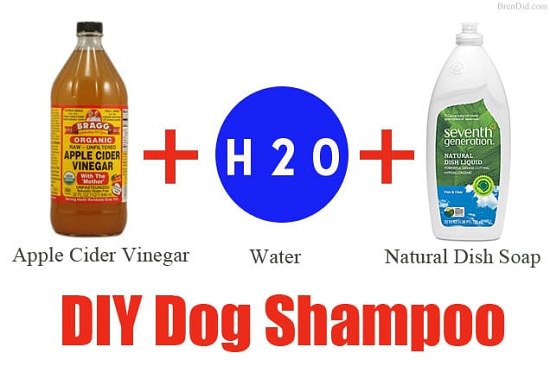 DIY Dog Shampoo Recipes 5