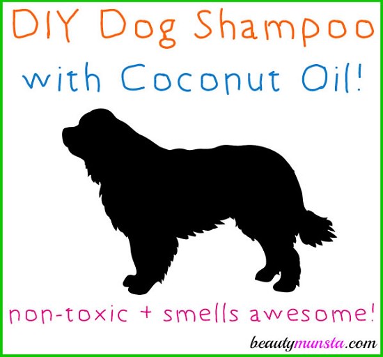 DIY Dog Shampoo Recipes 9