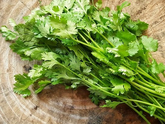 Coriander Leaves Benefits for Face1