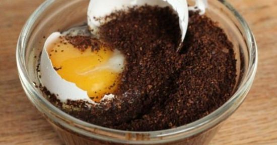 Coffee and Egg Mask for Hair 2