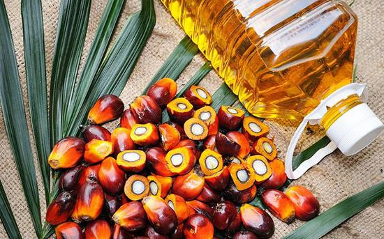 Palm Oil Benefits for Skin1