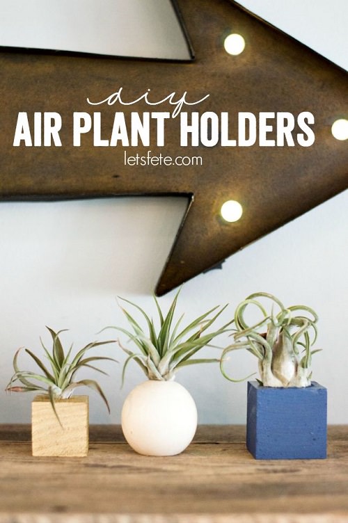 DIY Air Plant Holders