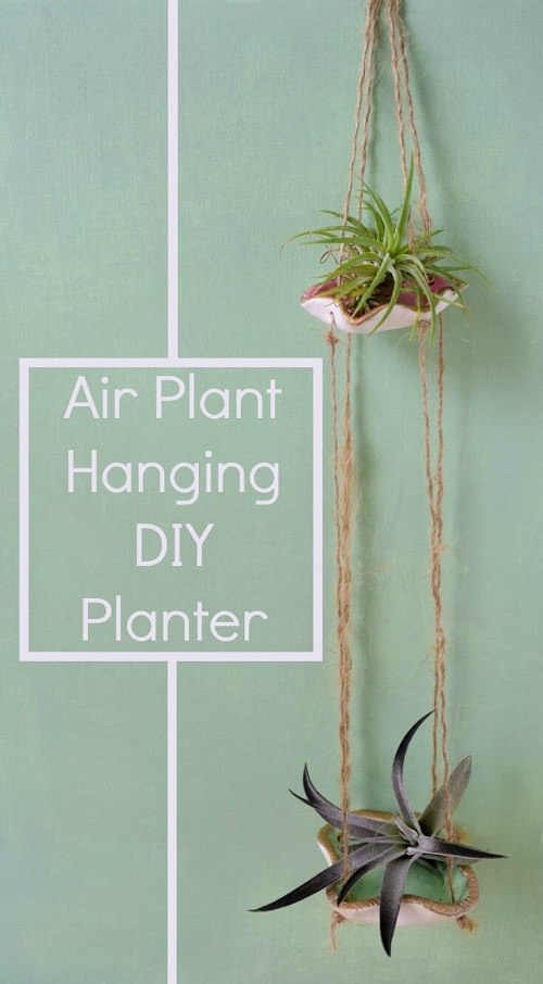 DIY Air Plant Holder Ideas3