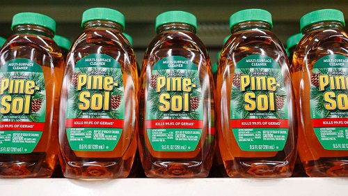Does Pine Sol Kill Mold1