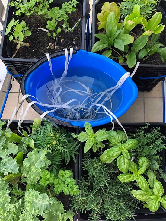  Wick Watering System
