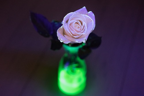 DIY Glow In The Dark Flowers2