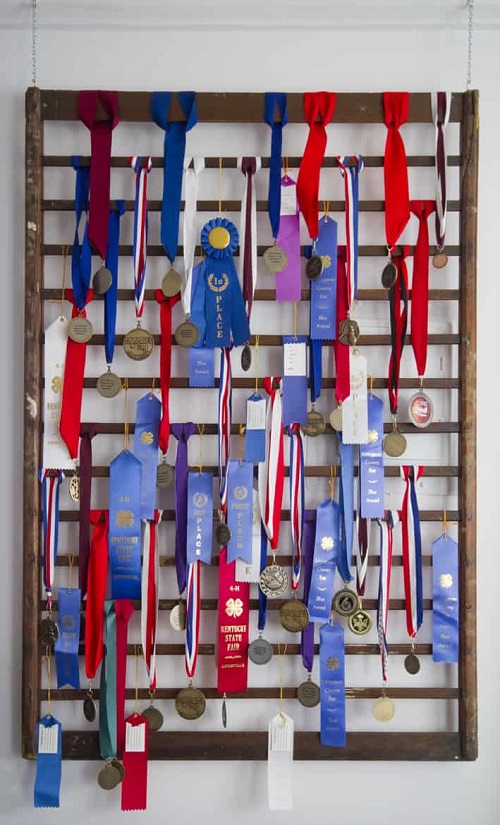 Ideas for Medal Display2